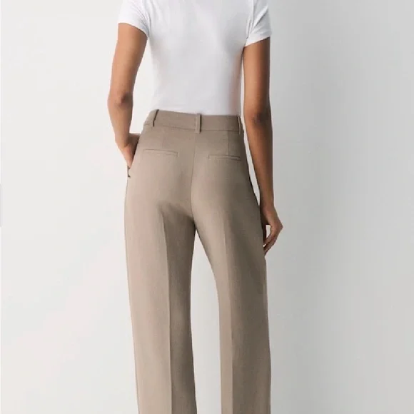 Aritzia The Effortless Plant Pleated High-Waist Wide-Leg Pants in Taupe - Picture 3 of 9